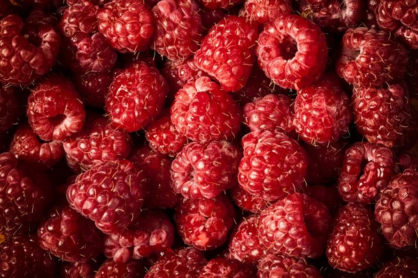 découvrez les avancées en matière de réalité mixte