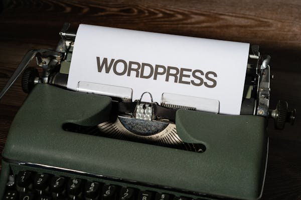 Formation WordPress : lancez-vous dans l'aventure web !