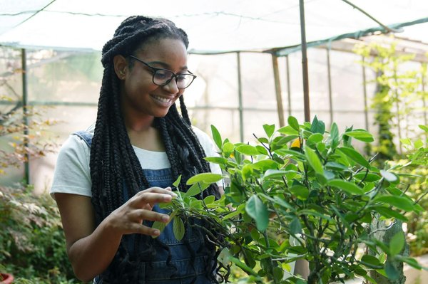 Les coques tendances pour votre coque samsung s20 à adopter !