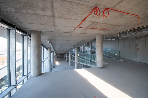 Révélez les secrets pour un site vitrine efficace en 5 étapes